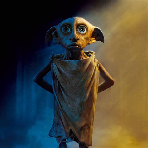 dobby the house elf harry potter